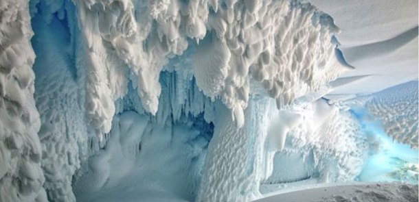 Antarktikada qeyri-adi canlılar yaşayır