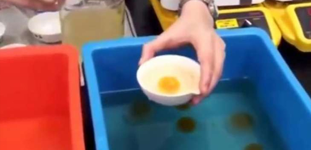 Saxta yumurtalar belə hazırlanır (VİDEO)