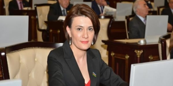 Milli Məclisin deputatına ağır itki