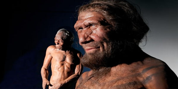 Alimlər neandertal genləri əsasında müasir insan beyninin təkamülünü öyrənəcək