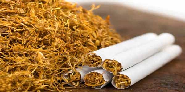 Azərbaycan tütün idxalını azaldıb