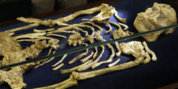 Bakıda evdən skeletləşmiş qadın meyiti tapıldı