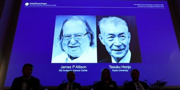 Tibb üzrə Nobel Mükafatının qalibləri müəyyənləşdi