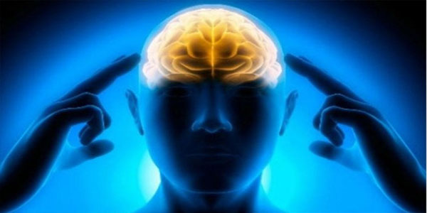 Beyninizin necə işlədiyini bilirsiniz? – Maraqlı faktlar