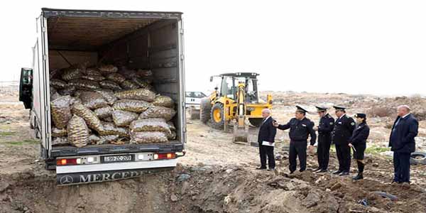 Sumqayıtda 26 ton kartof məhv edildi (FOTOLAR)