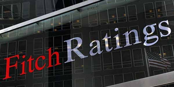 “Fitch Ratings”: Azərbaycanda dollarlaşma hələ də yüksəkdir