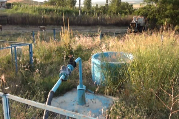 Şəkinin Şorsu kəndi: Adı kimi suyu da şordur (VİDEO)