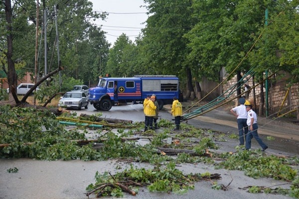 Tufan Xankəndində ağacları aşırdı, elektrik xətlərini qırdı (FOTOLAR)