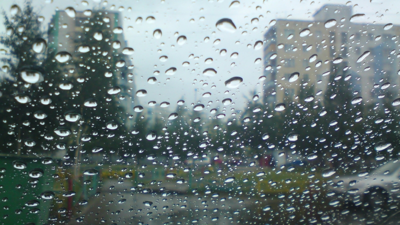 İstirahət gününün hava proqnozu: külək, yağış...