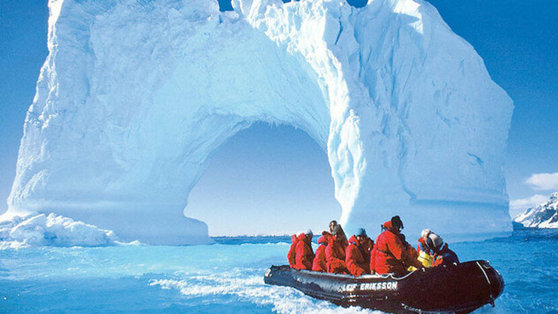 Antarktikada elm adamlarını qorxudan hadisə