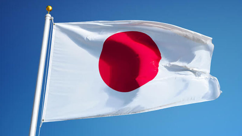 Yaponiyada 7 nəfər öldü: baş nazir məktəbləri bağlamağa çağırdı