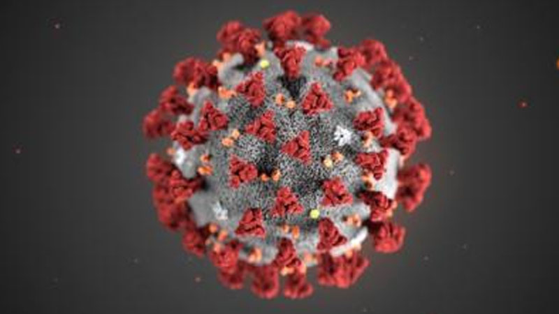 Türkiyənin Aİ-dəki nümayəndəliyinin əməkdaşı koronavirusdan öldü