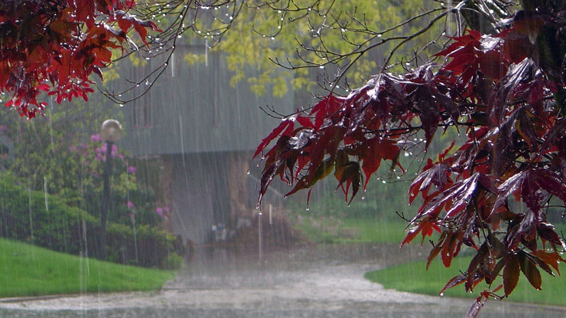 Rayonlarda şimşək çaxıb, yağış yağdı: Faktiki hava