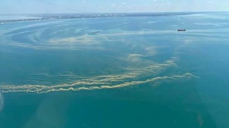 Qara dənizin Odessa sahil suları qatılaşıb yaşıl kiselə çevrildi