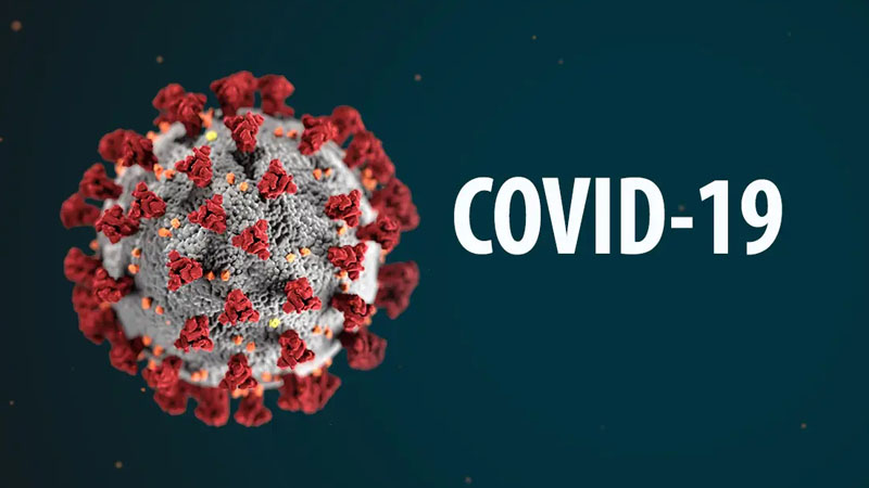 Covid-19 II dalğa: Virus ya tam yoxa çıxacaq, ya daimi lövbər salacaq...