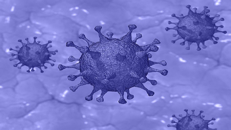 Tanınmış həkim qriplə koronavirusun fərqini açıqladı