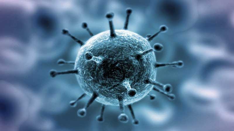 Koronavirusun iki yeni ştammı Avstriyada aşkarlandı