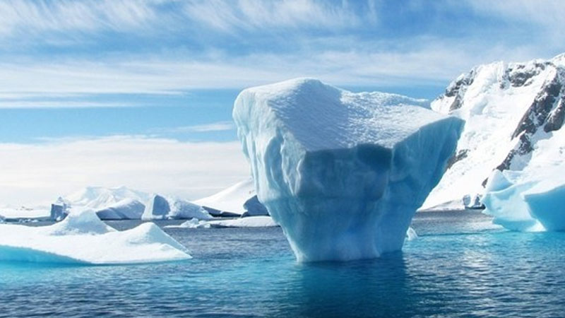 Alimlər: Buzsuz Arktika dünyanı fəlakətlə təhdid edir