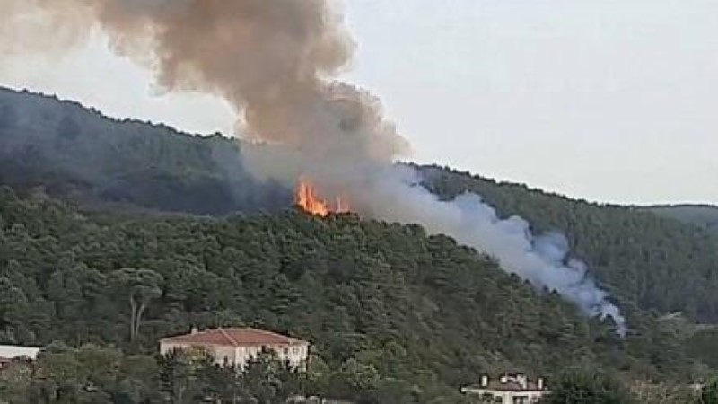 Antalyada meşəni yandıran şəxs tutuldu