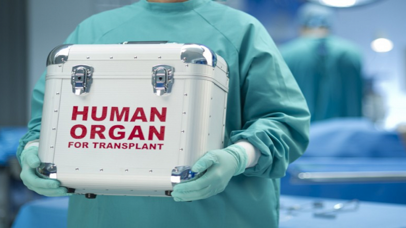 İnsan orqan və toxumalarının transplantasiyası haqqında qanun qüvvəyə mindi