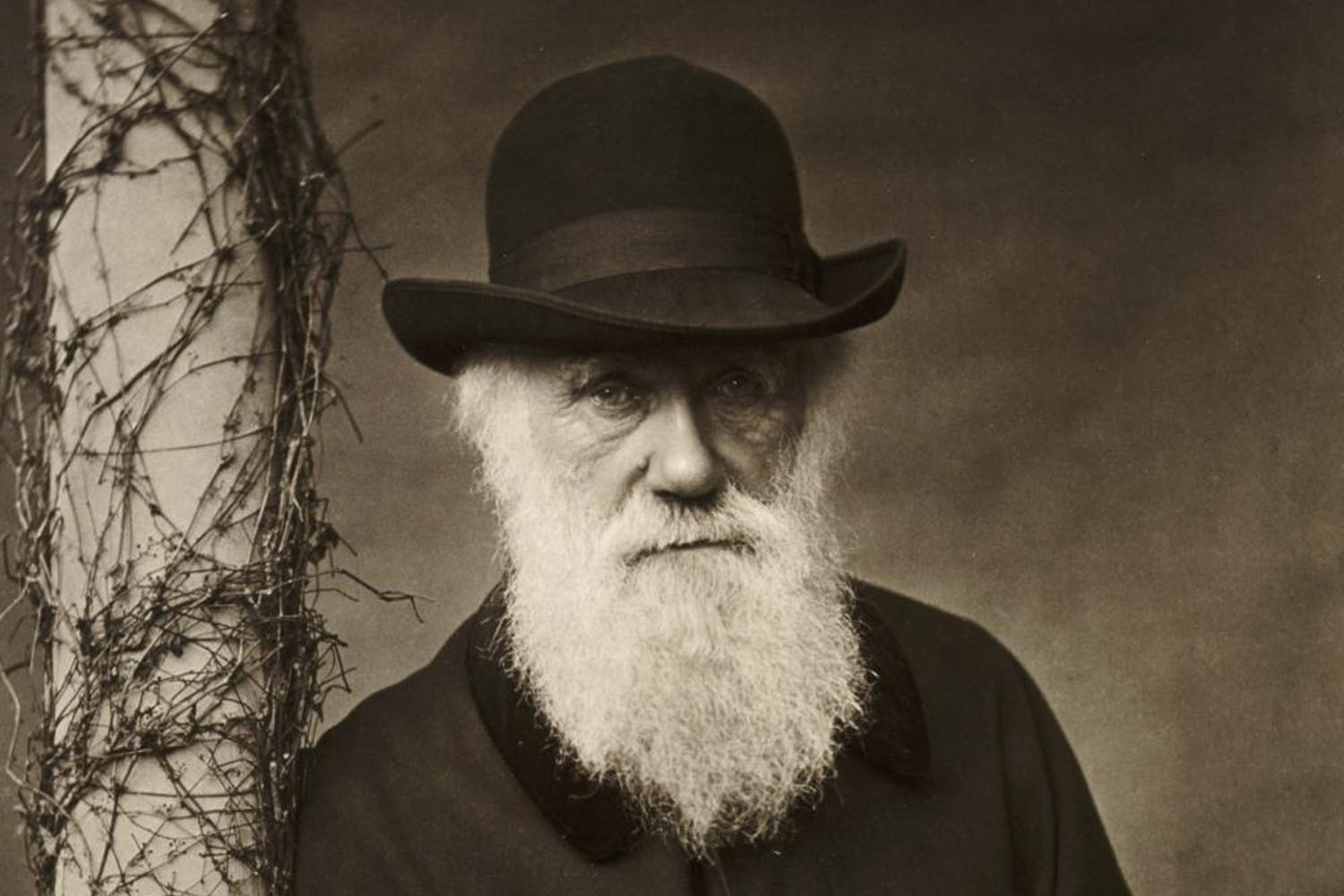 Darvinin 22 il əvvəl oğurlanan qiymətli əlyazmaları müəmmalı şəkildə geri qayıtdı