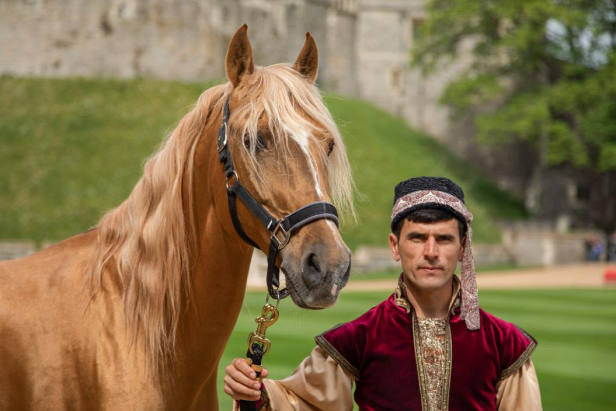 İlham Əliyevin hədiyyəsi olan Qarabağ atı II Yelizavetaya təqdim olundu (FOTO/VİDEO)