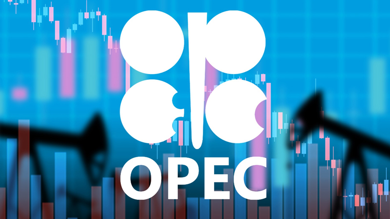 OPEC BAE-ni neft bazarında qeyri-sabitlik yaratmaqda ittiham edir