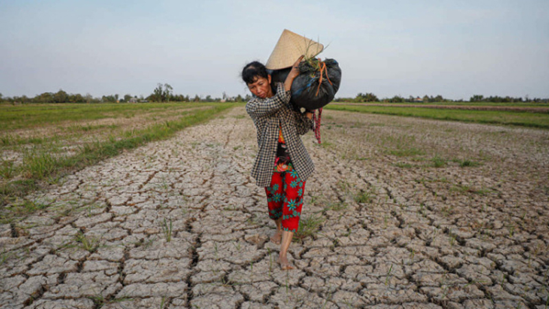 İqlim dəyişikliyi: Asiyada temperatur rekordları qeydə alınır