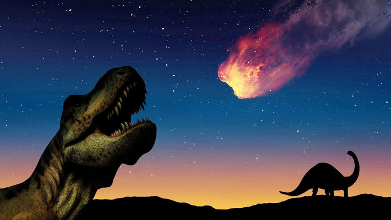 Dinozavrları məhv edən asteroid düşməsi zamanı tarakanlar necə sağ qalıb?
