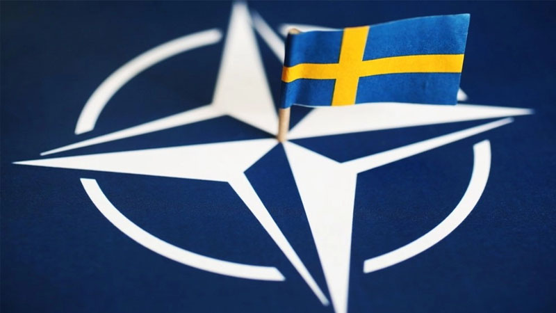 İsveçin üzvlüyü NATO-ya nə qazandıracaq? - 