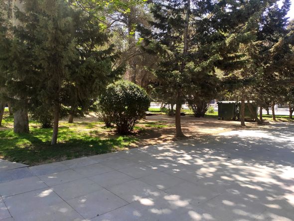 AMEA-nın qarşısındakı parkda oturacaqlar niyə yoxa çıxıb? (AÇIQLAMA/FOTO)