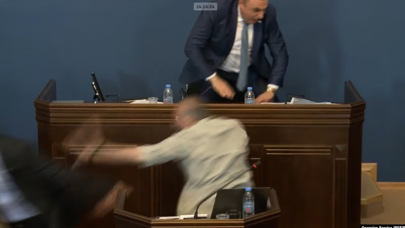 Gürcüstan parlamentində komitə iclasında dava düşdü (VİDEO)