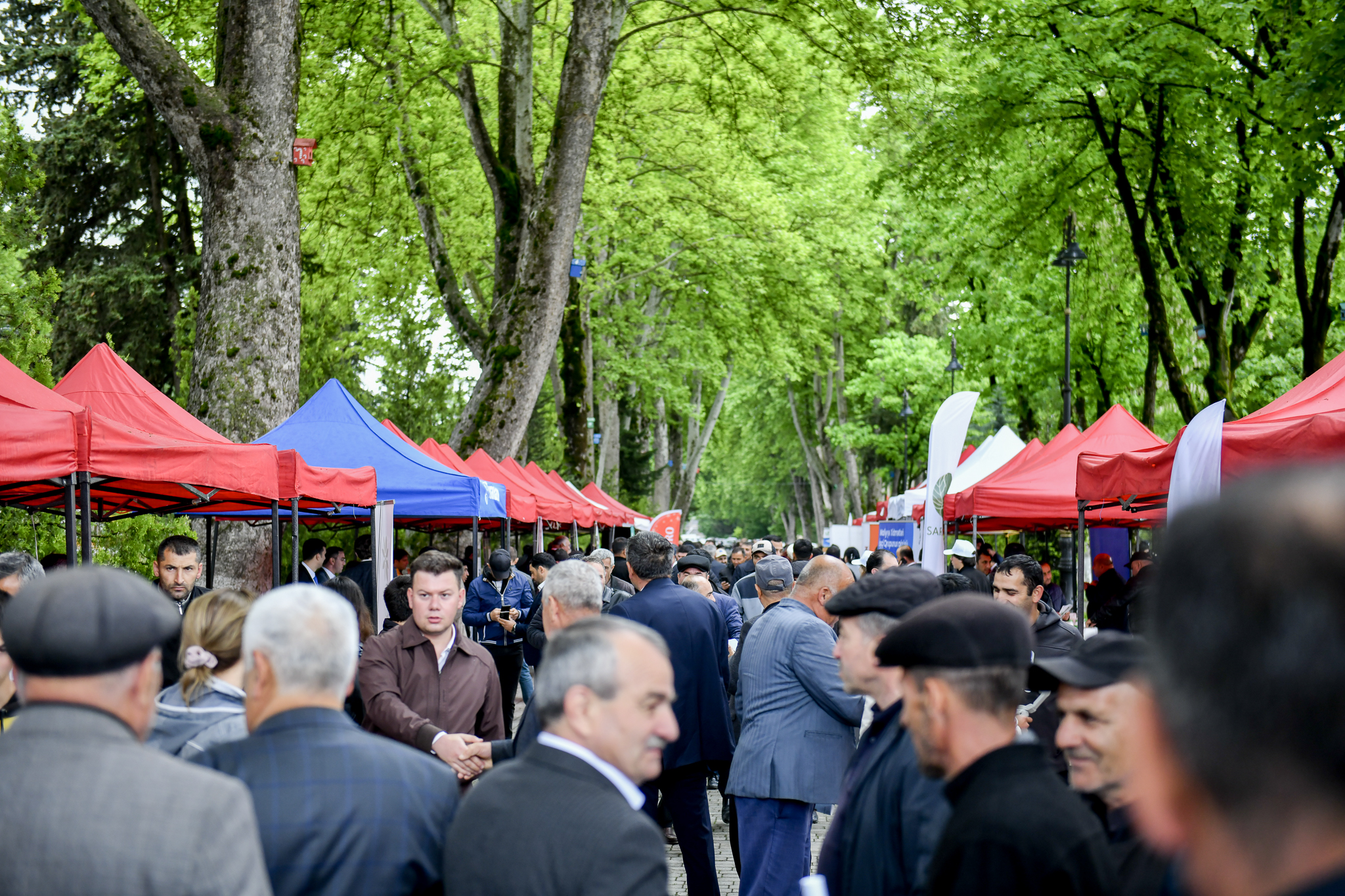 İsmayıllıda növbəti Aqrar Biznes Festivalı keçirildi (FOTO)