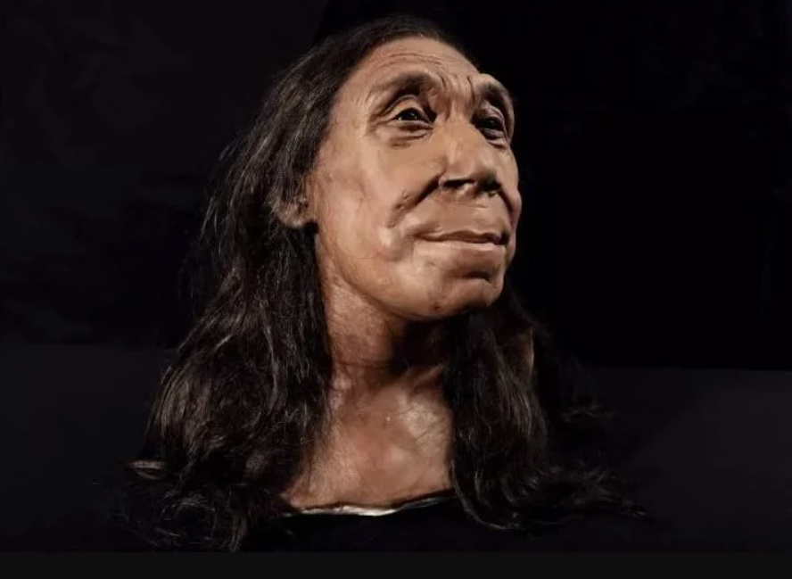 Alimlər 75 min il əvvəl yaşamış neandertal qadının üzünü bərpa etdi (FOTO)