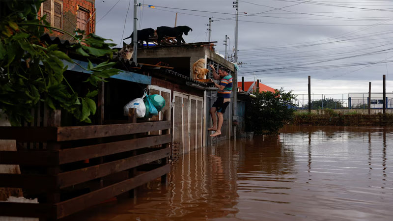 Braziliyada daşqınlar 100-dən çox insanı öldürdü, 130-dan çox itkin var (FOTOLAR)