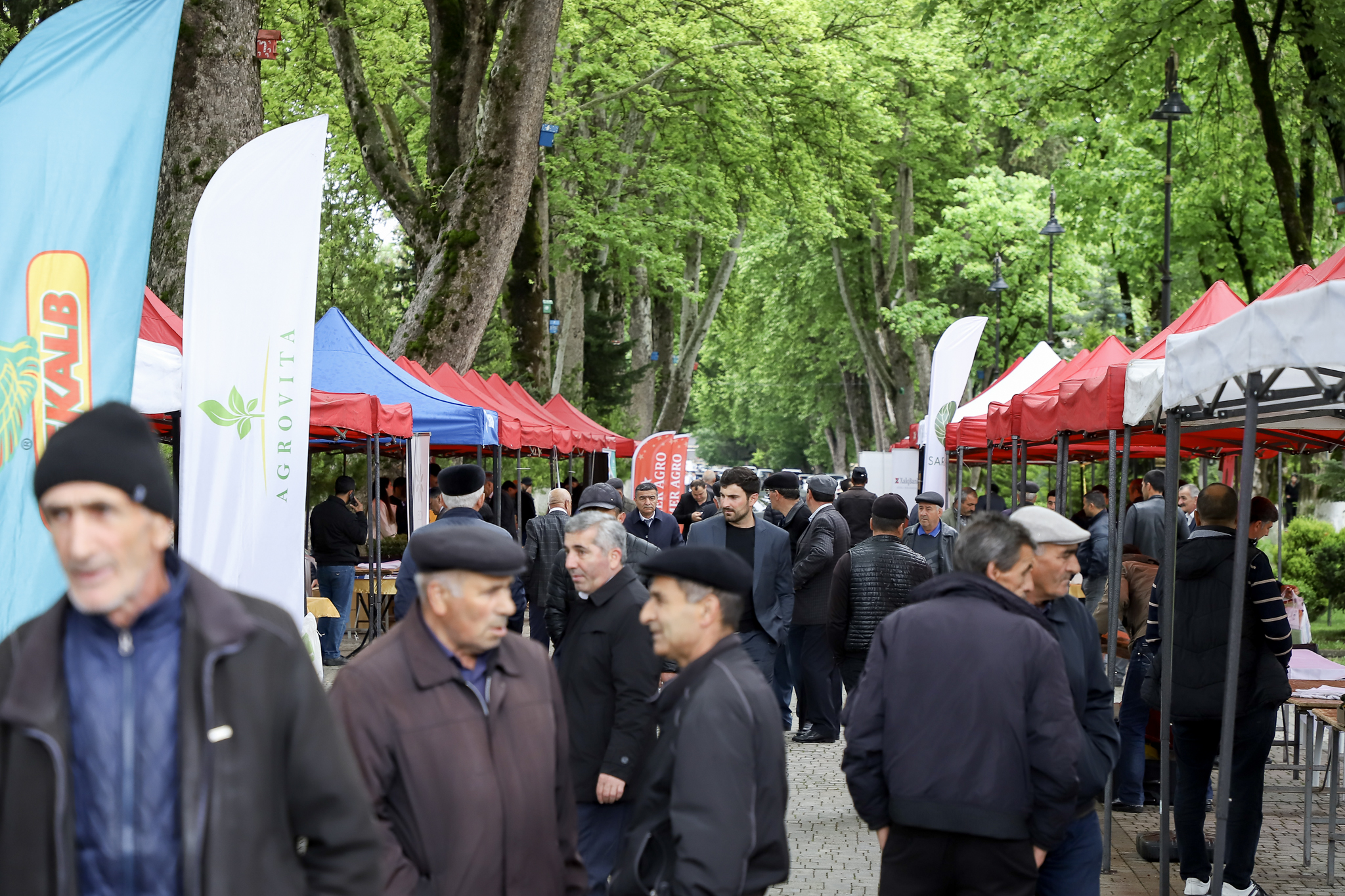 İsmayıllıda növbəti Aqrar Biznes Festivalı keçirildi (FOTO)