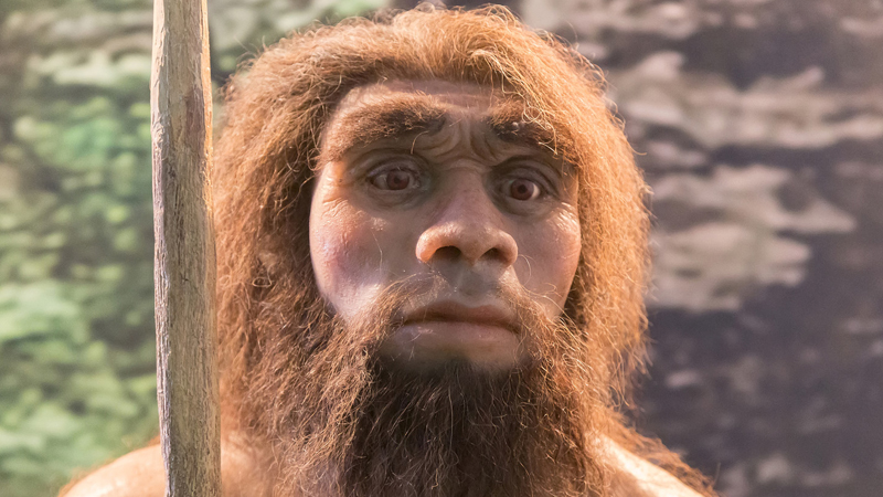Alimlər Neandertal DNT-si ilə autizm arasında əlaqə tapdı