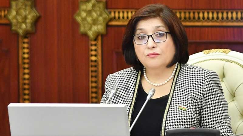Sahibə Qafarova TÜRKPA-nın plenar iclasında Ermənistanın ekoloji terrorundan danışdı