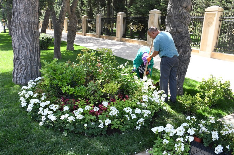 Bakıda yeni parklar salınır - ÜNVANLAR