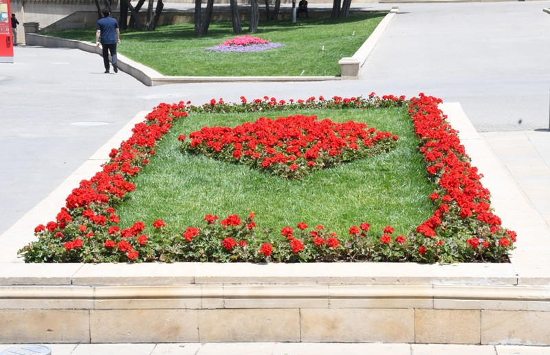 Bakıda yeni parklar salınır - ÜNVANLAR