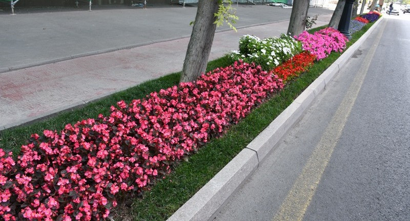 Bakıda yeni parklar salınır - ÜNVANLAR