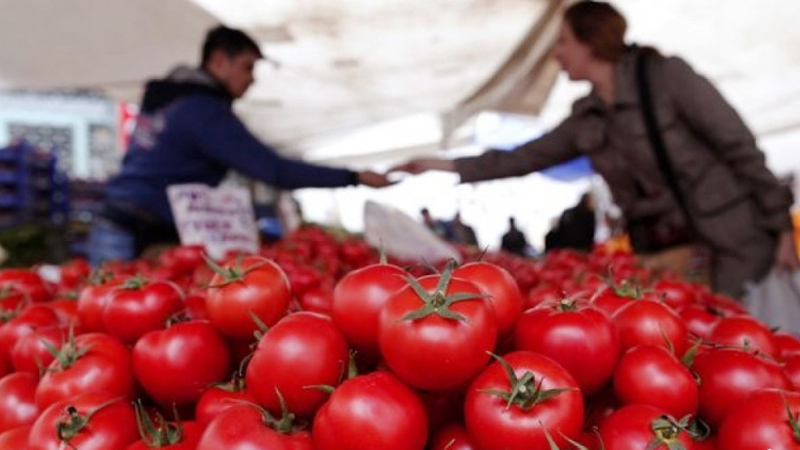 Pomidorun qiyməti nə vaxt ucuzlaşacaq? (AÇIQLAMA)