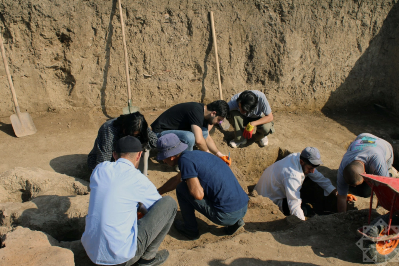 Cəlilabadda ilk dəfə Neolit dövrünə aid kəndin izləri aşkarlandı (FOTO)