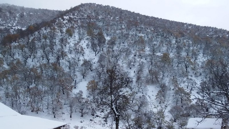 Bölgələrdə yağış və qar yağacaq, dolu düşəcək