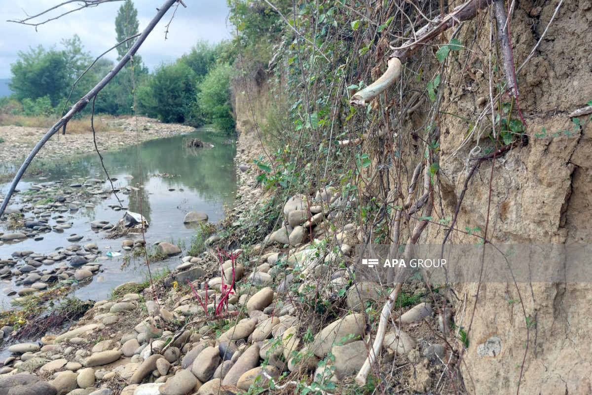 Lənkəranda Veravulçay daşdı, təsərrüfatlara ziyan dəydi (FOTO)