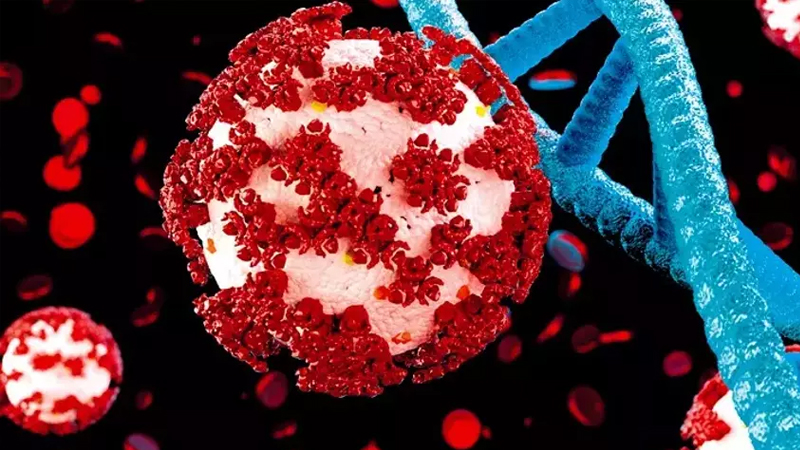 COVİD-19 bu dəfə sağalacaq - Virus xərçəngə qarşı istifadə olunacaq