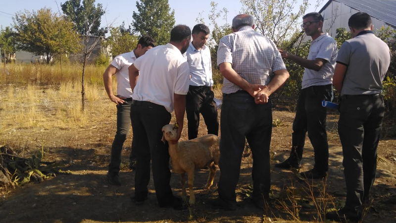 Şəki sakini Məşğulluq Agentliyini ittiham edir: 