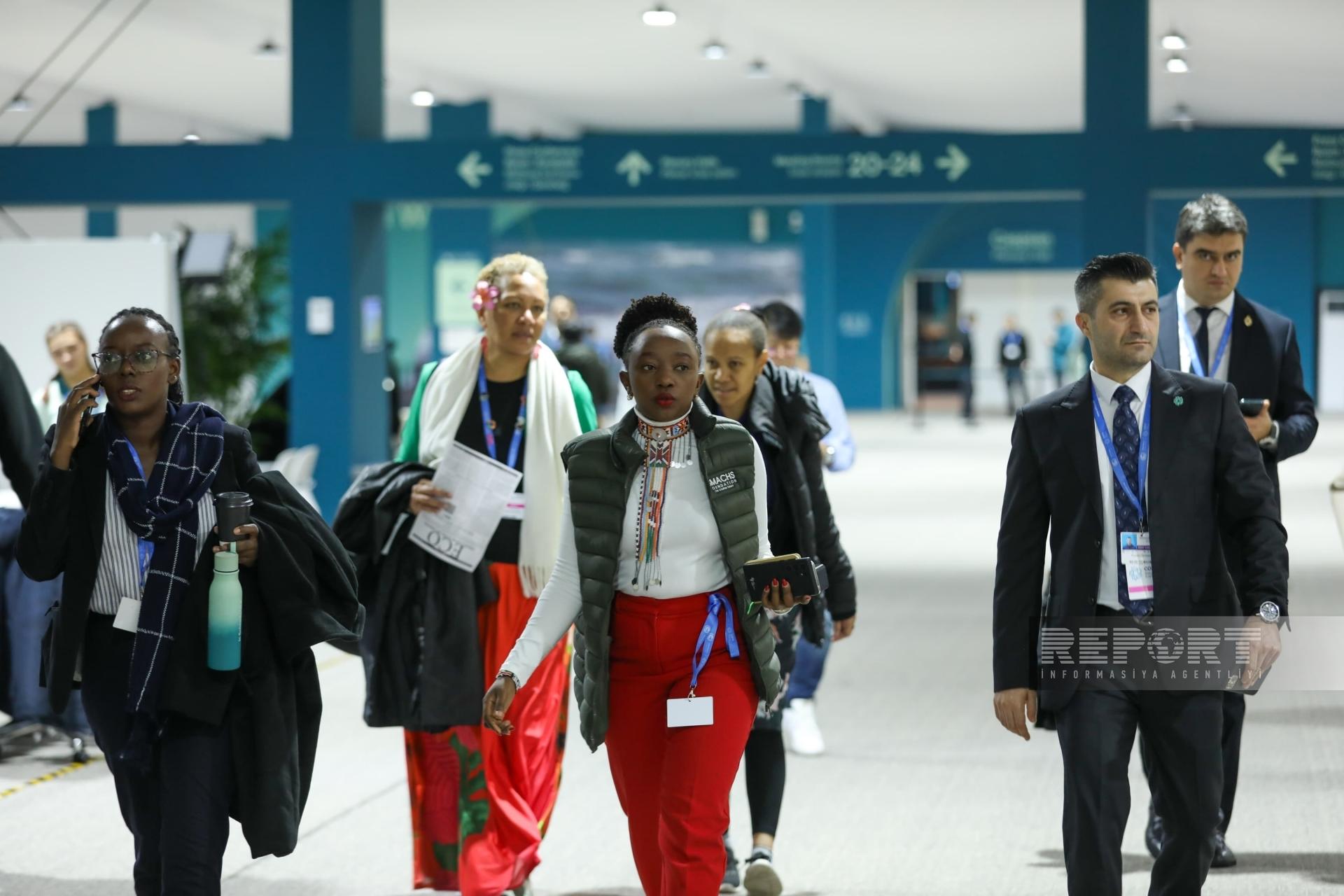 COP29-un səkkizinci günü: Qonaqlar nə deyir? (FOTO)