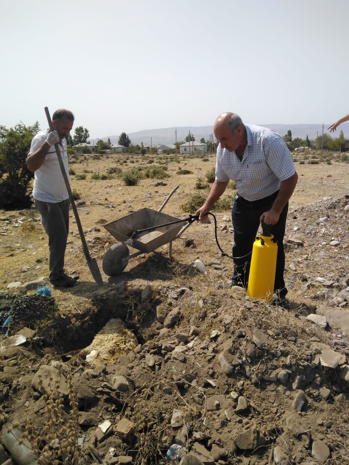 Şəki sakini Məşğulluq Agentliyini ittiham edir: 