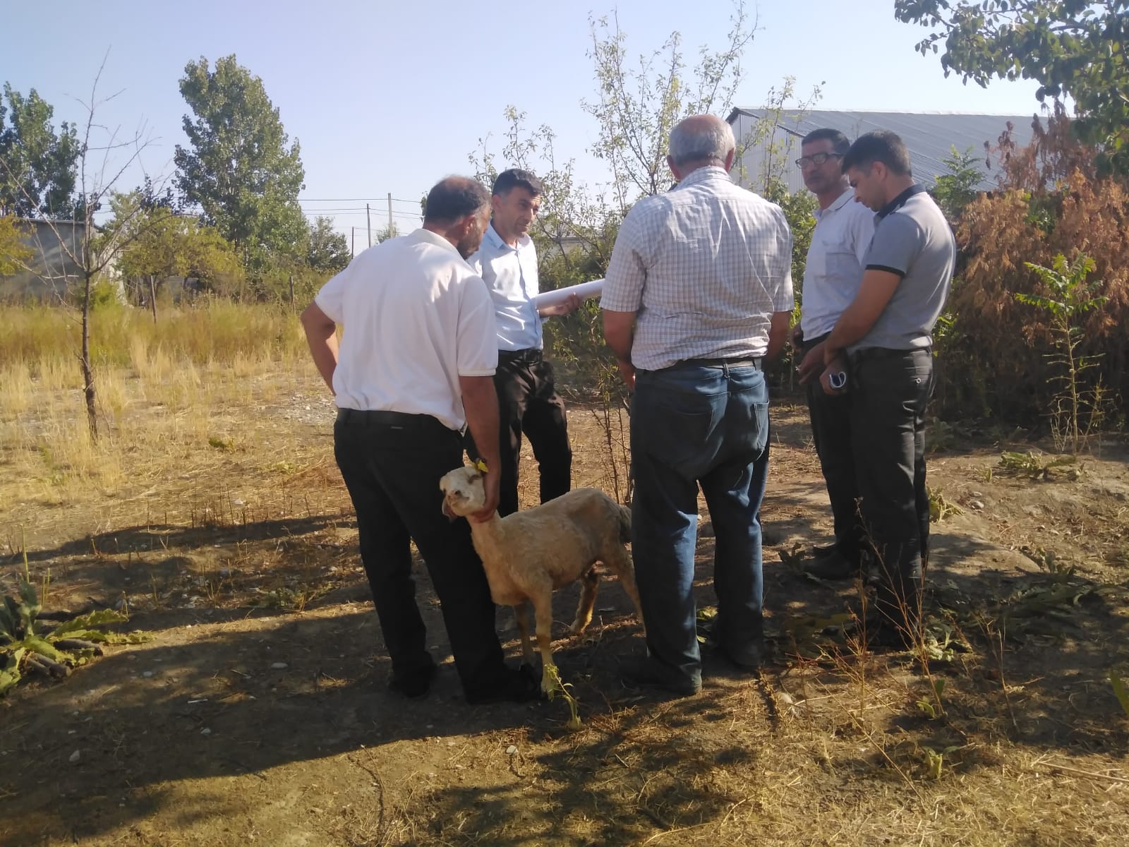 Şəki sakini Məşğulluq Agentliyini ittiham edir: 